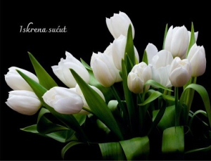 Jednokratne pomoći za smrtne slučajeve